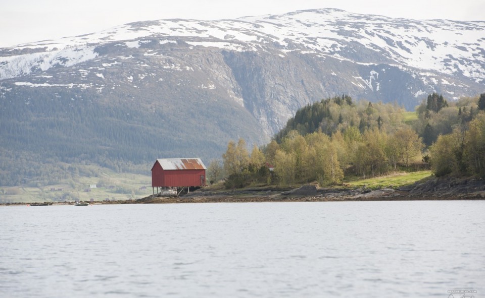 les fjords grandioses