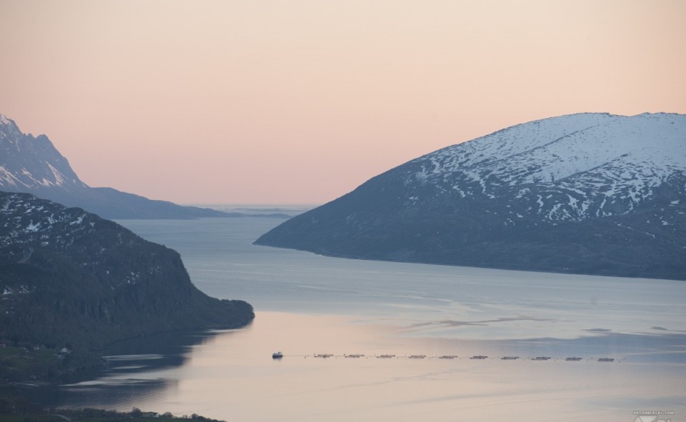 soleil de minuit sur le fjord