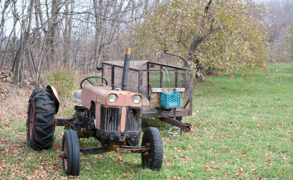 Tracteur pour la récolte des pommes