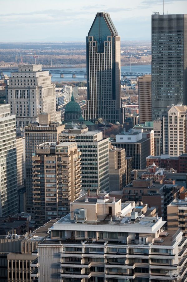 Vue de Montréal du Plateau Mont-Royal