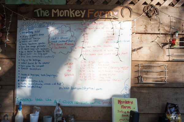 Le tableau des tâches de la Monkey farm