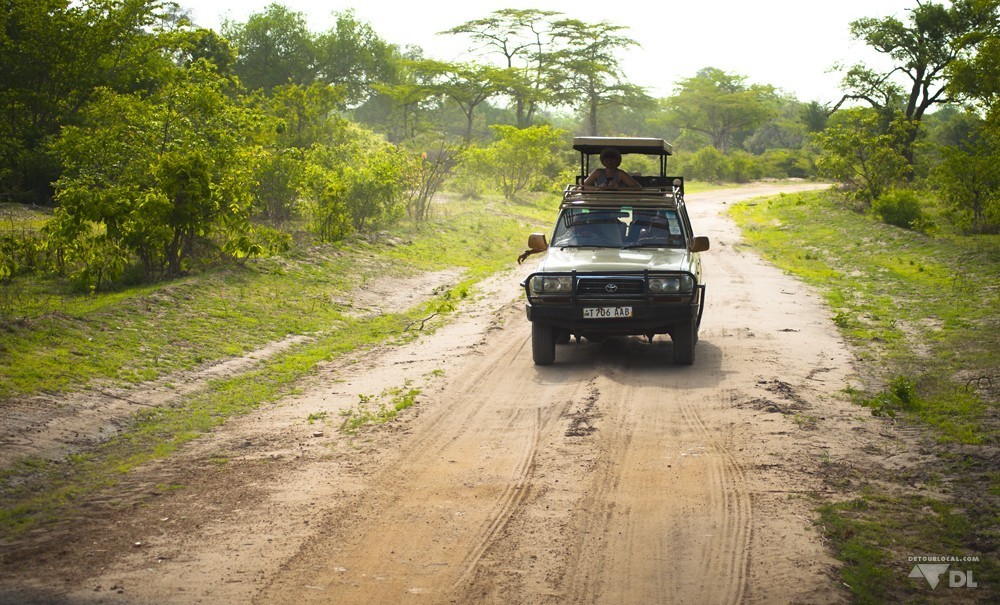 Jeep typique pour partir en safari