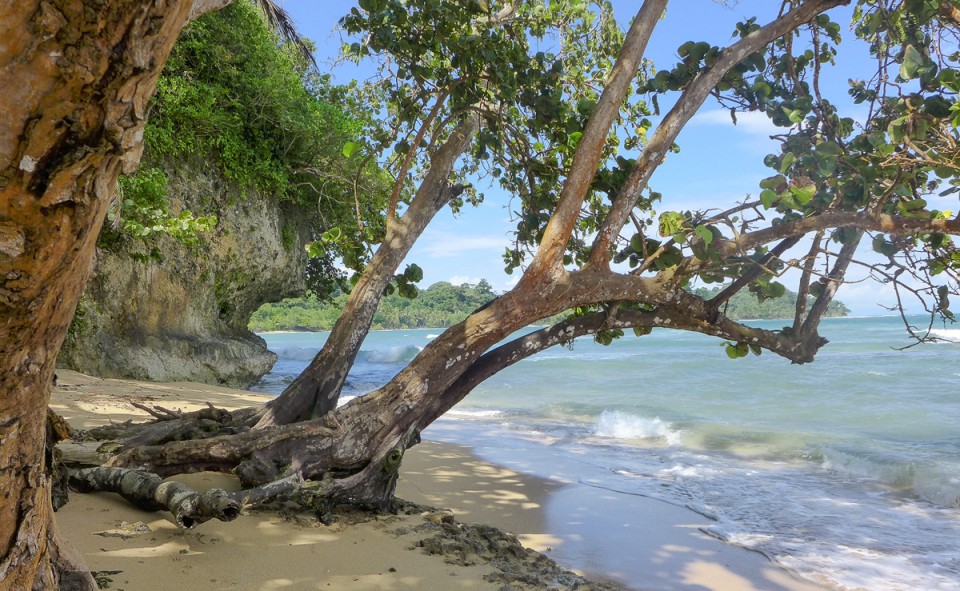 Le bout du bout de l'ile colon, Bocas del Toro